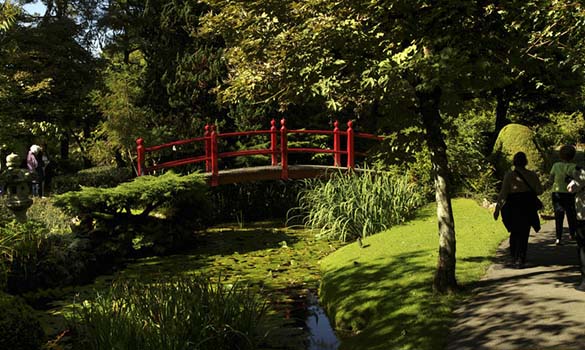 Irish National Stud and Japanese Gardens 